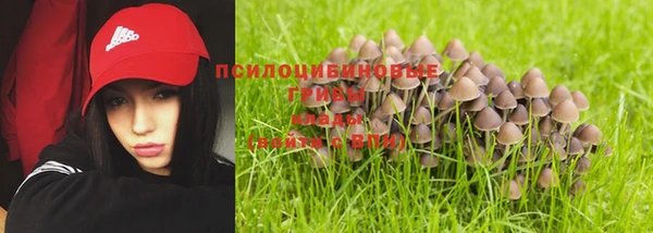 метамфетамин Богородицк