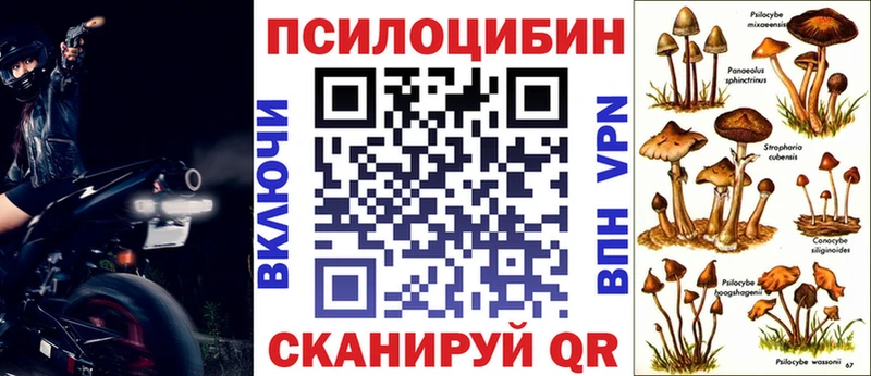 Купить где  Кизляр  Галлюциногенные грибы ЛСД 